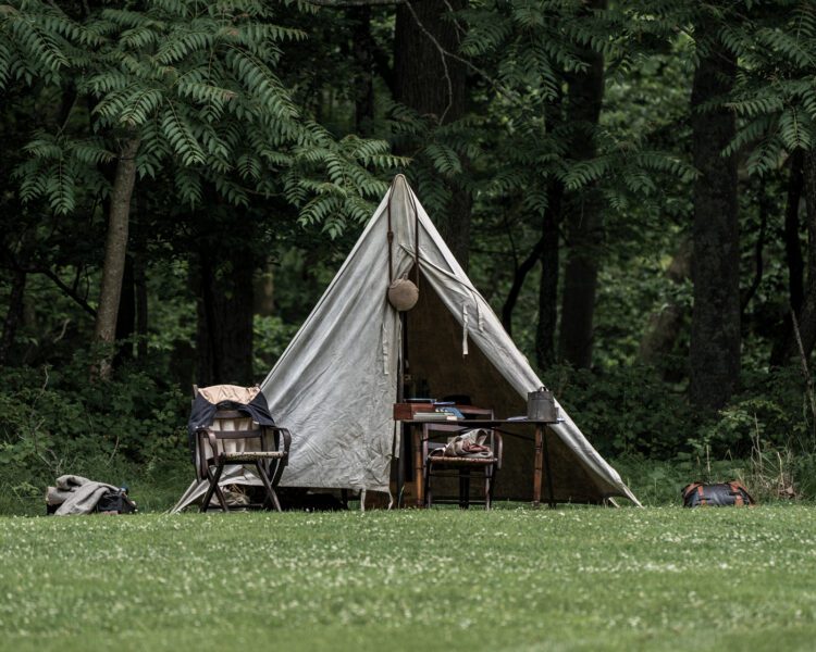 Civil War Encampment Allaire State Park 060119 057