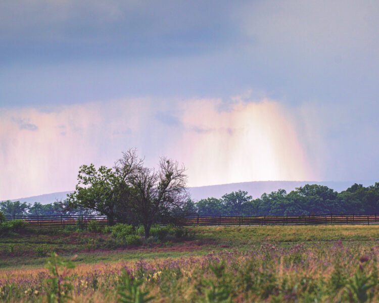 Gettysburg Battle Reenactment 070419 002