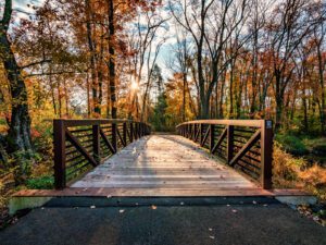 Photograph of the bridge at Chalfont Park under fall trees
