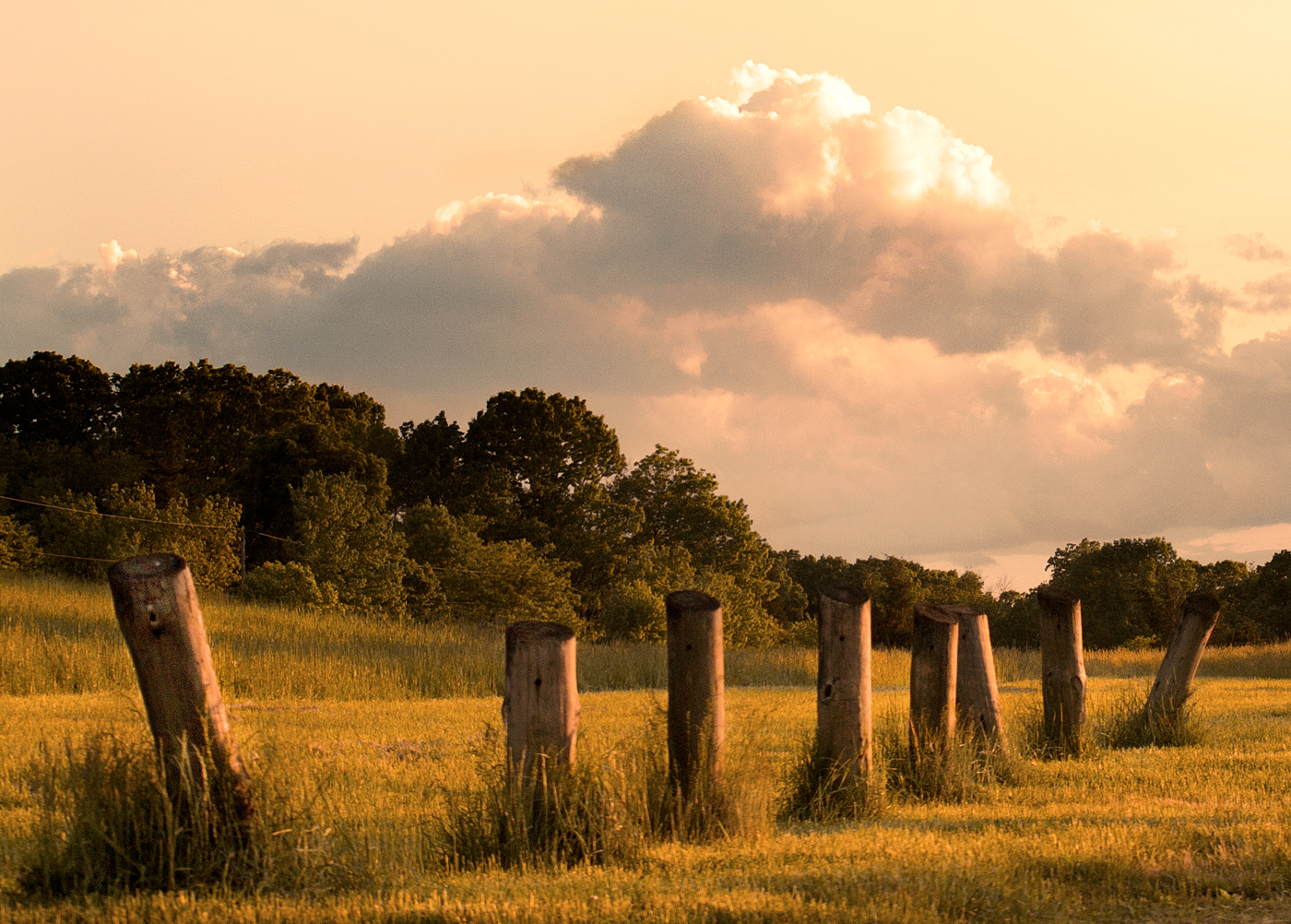 Posts Here and There