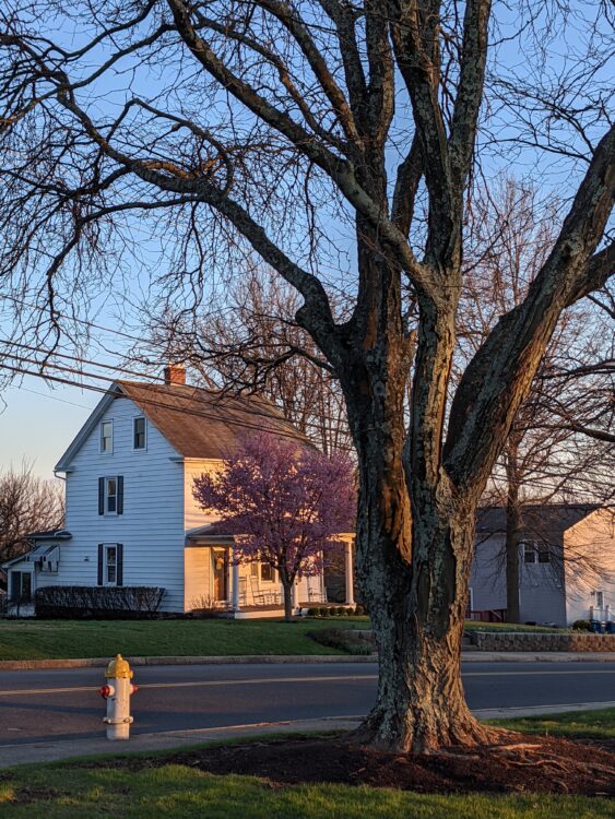 Shadows in Souderton, PA