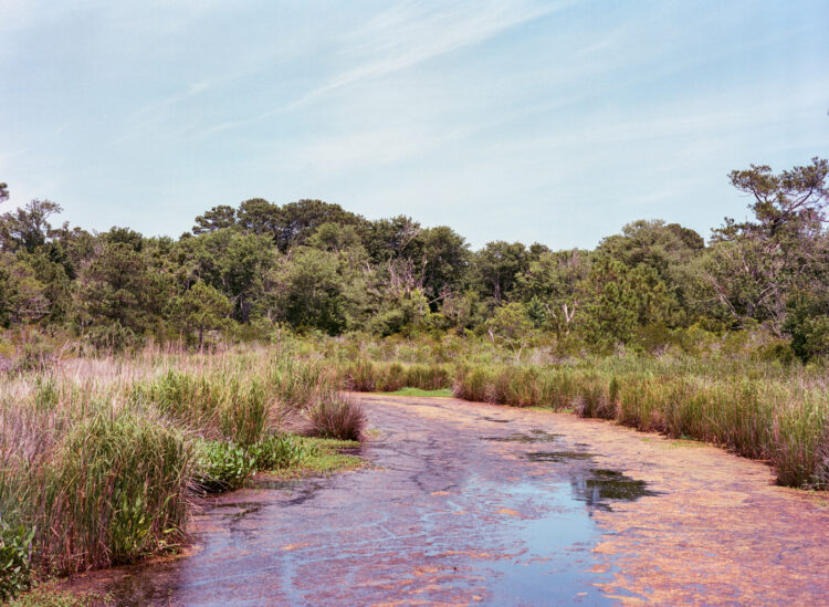 Outer Banks, NC Summer 2022 004