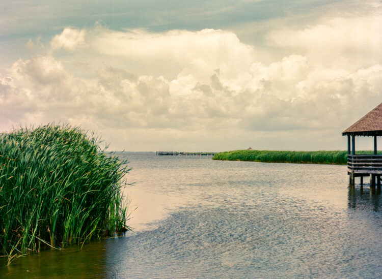 Outer Banks, NC Summer 2022 006_1