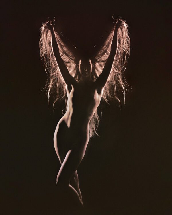 Photoshoot with Porcelain Rose